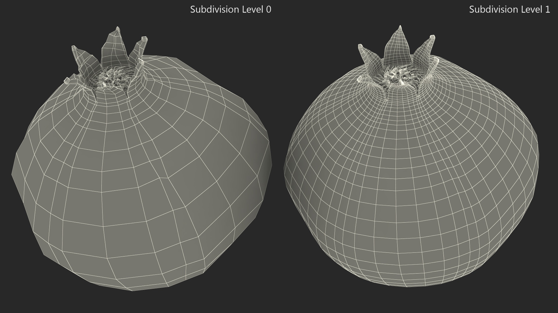 Pomegranate Fruit 3D