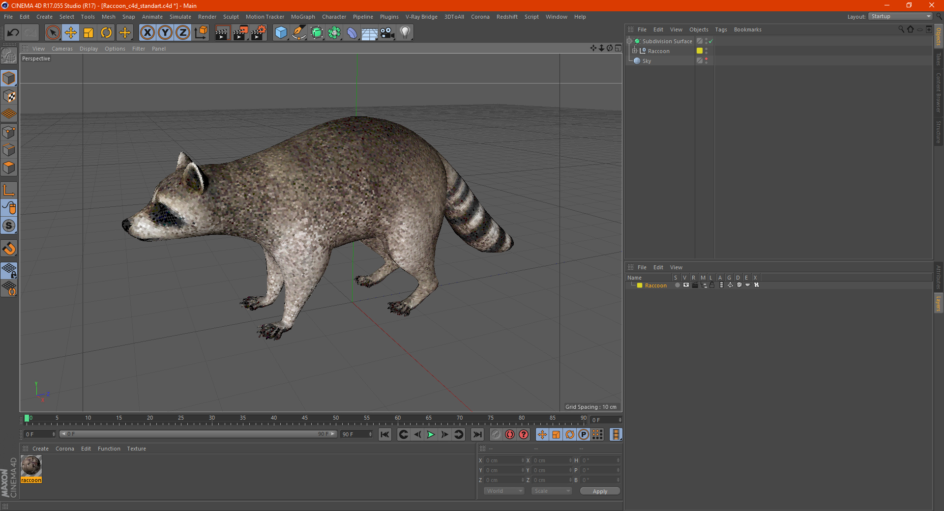 Raccoon 3D model