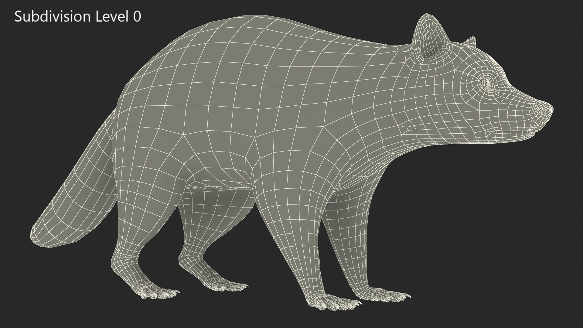 Raccoon 3D model