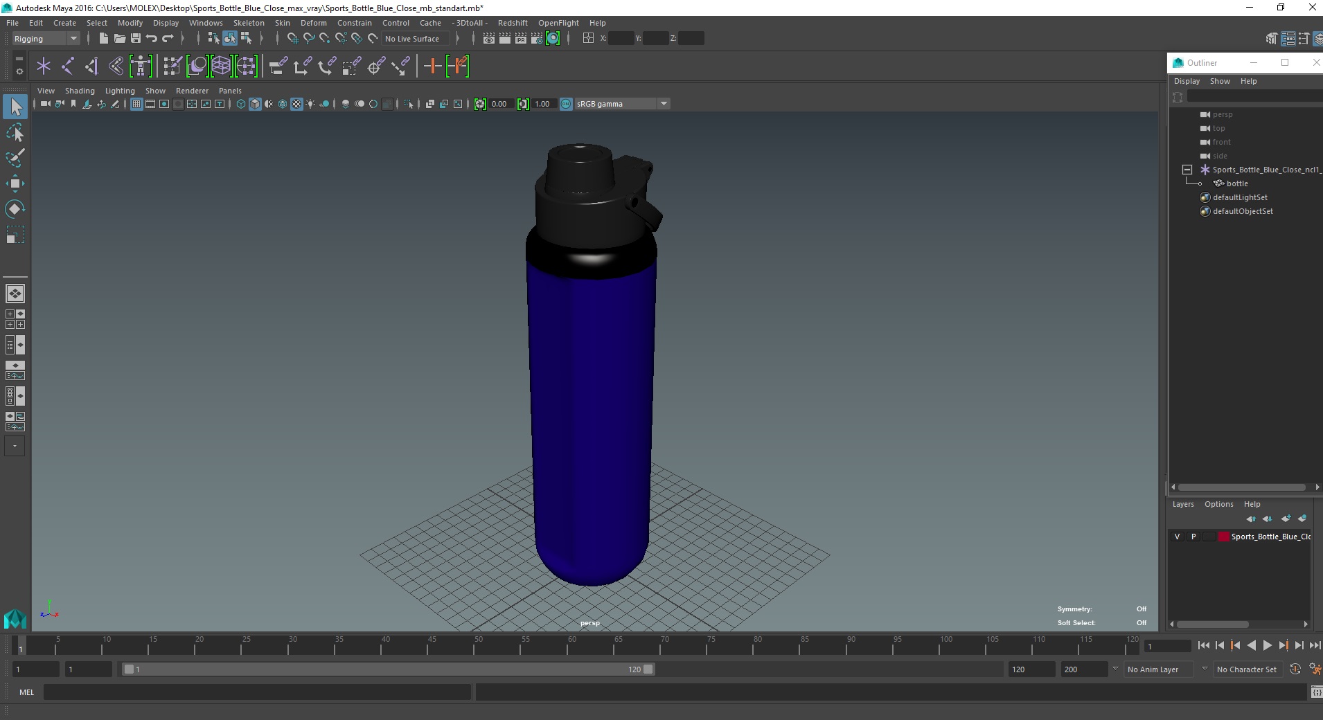 Sports Bottle Blue Close 3D model