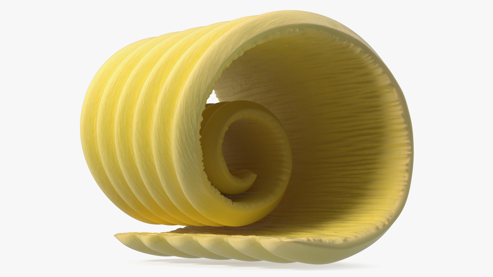 3D Butter Curl