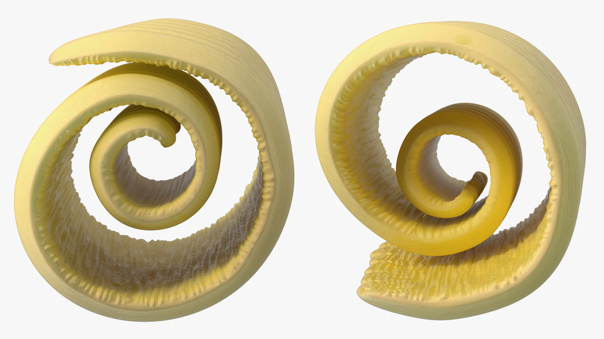 3D Butter Curl