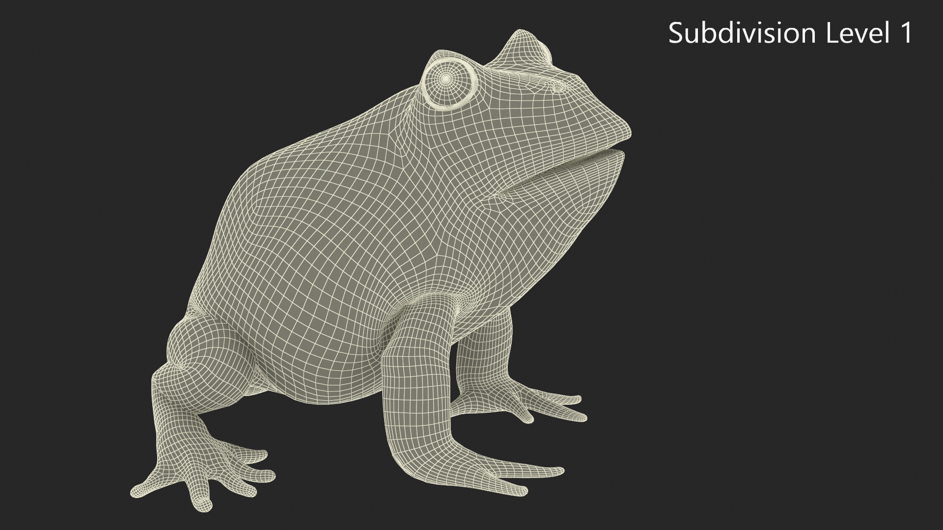 3D Realistic Horned Toad Rigged model