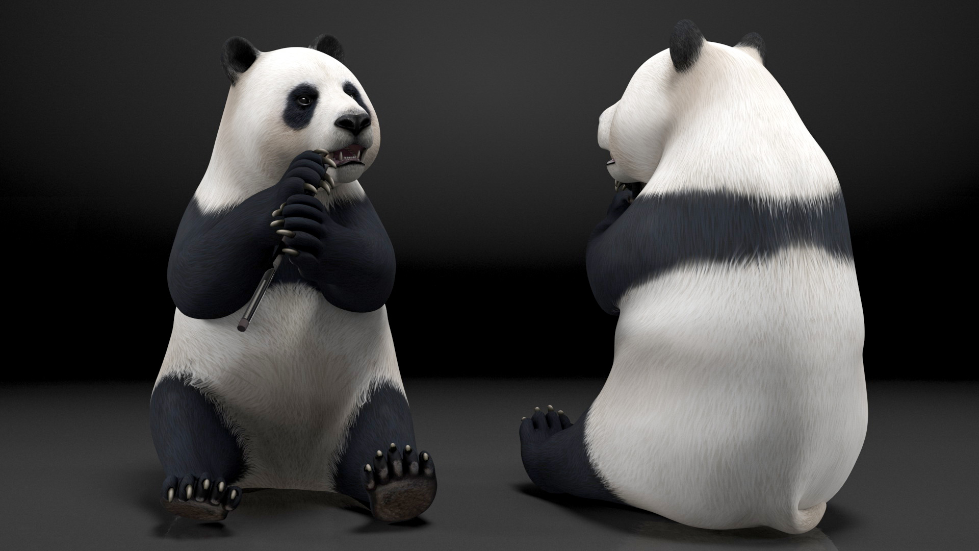 Giant Panda Sitting Pose 3D model