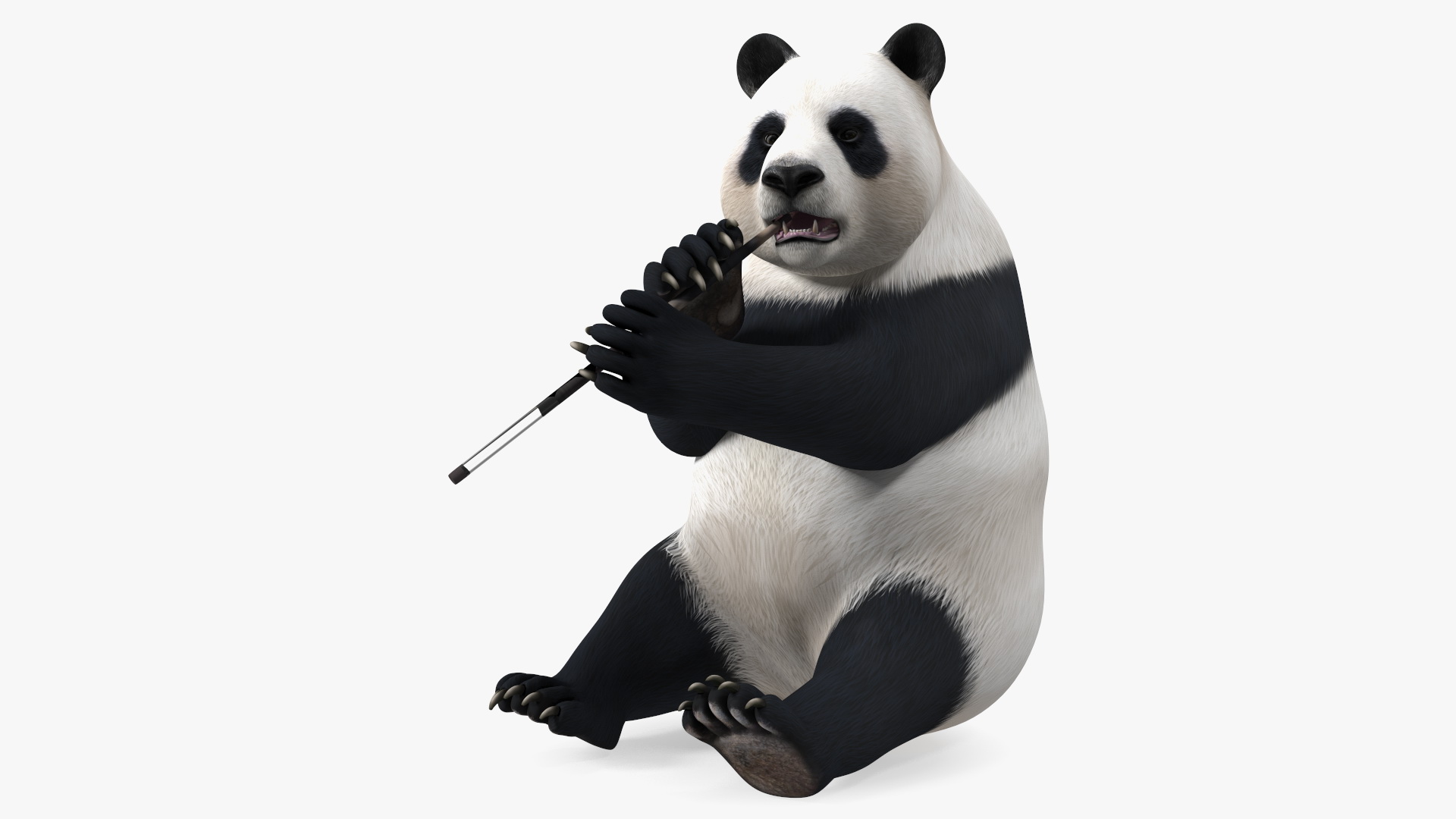 Giant Panda Sitting Pose 3D model