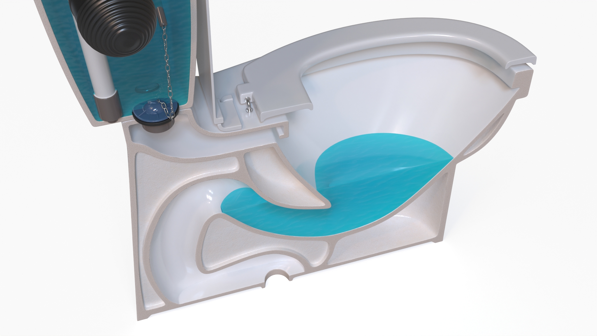 3D model Toilet Cross Section