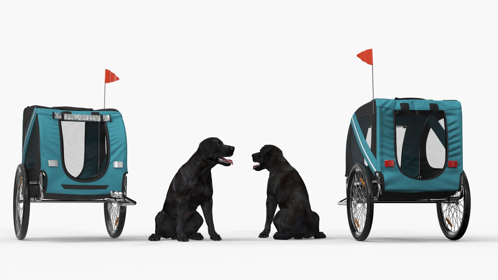 Dog Bicycle Trailer 3D model