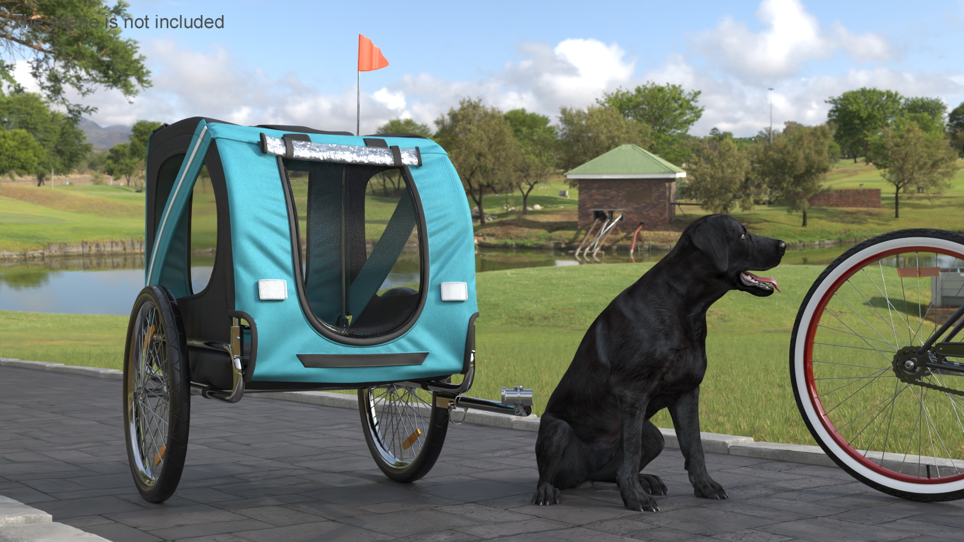 Dog Bicycle Trailer 3D model