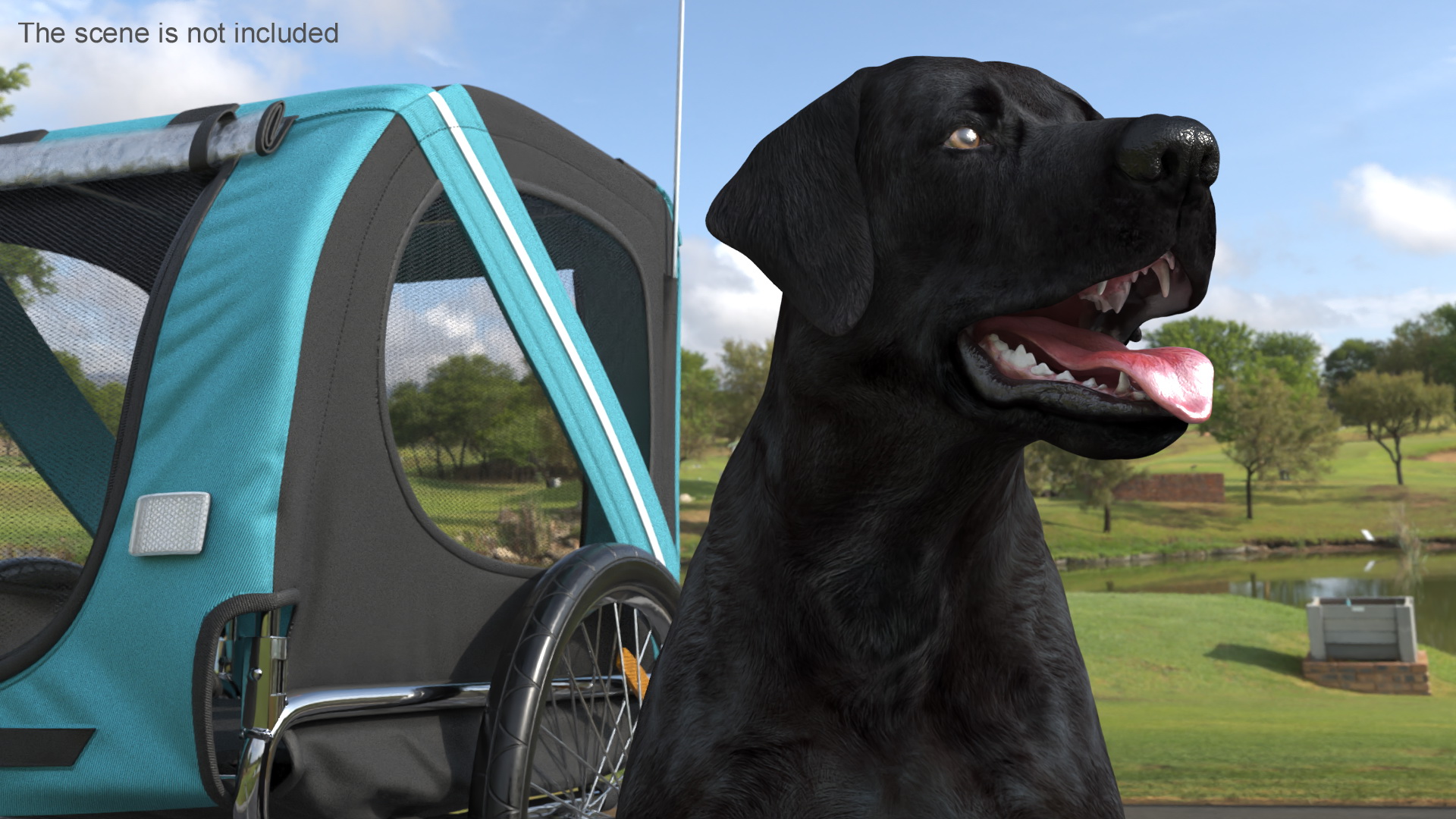 Dog Bicycle Trailer 3D model