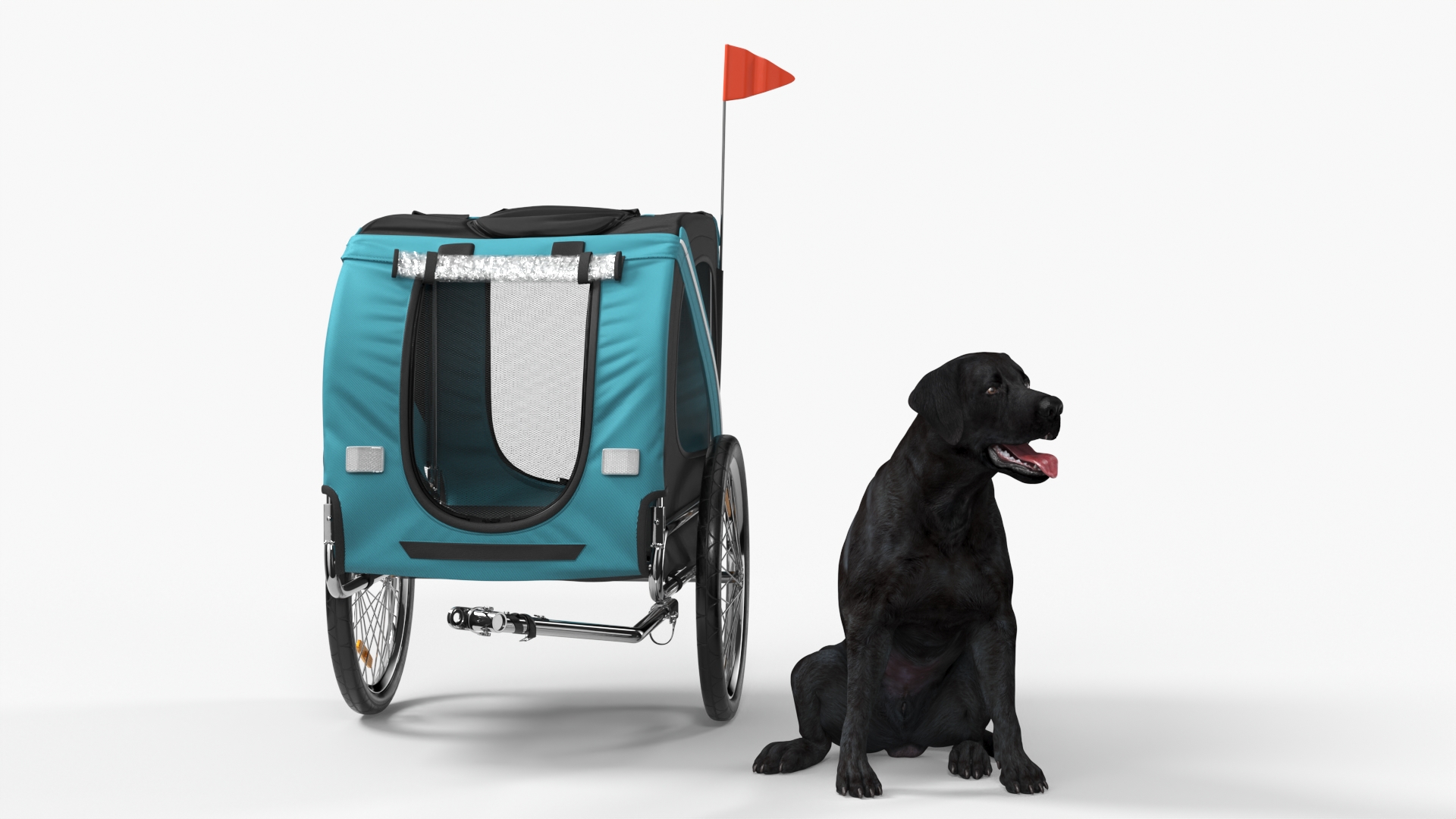 Dog Bicycle Trailer 3D model