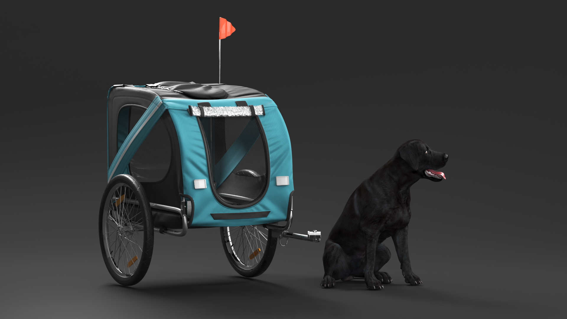 Dog Bicycle Trailer 3D model