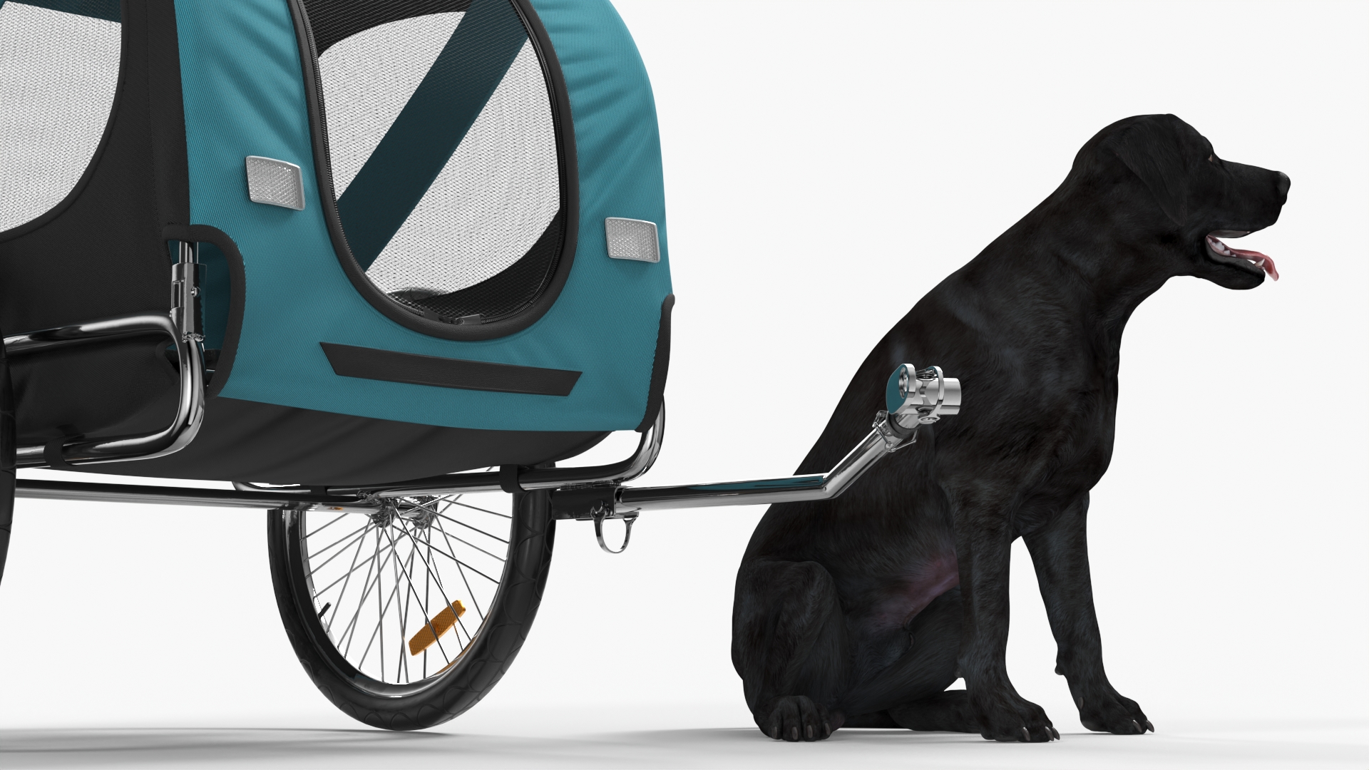 Dog Bicycle Trailer 3D model