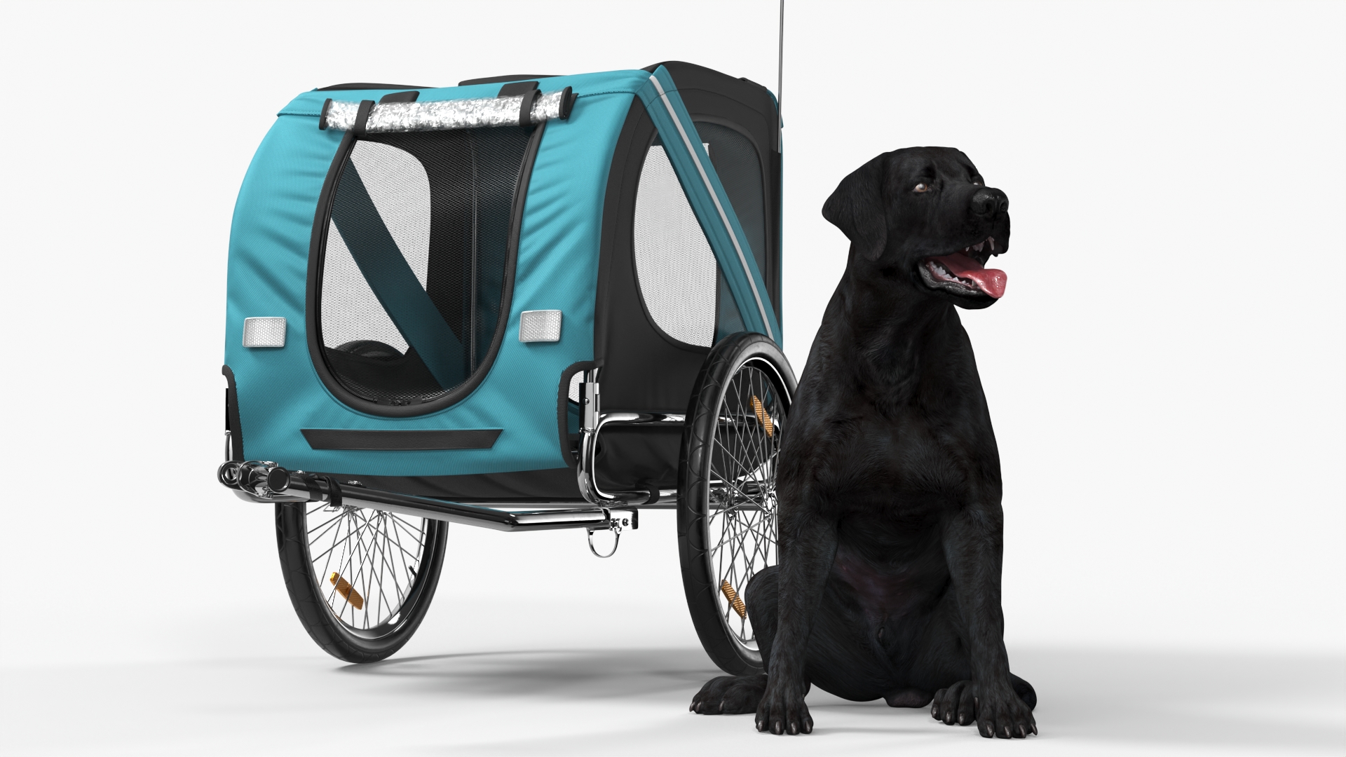 Dog Bicycle Trailer 3D model