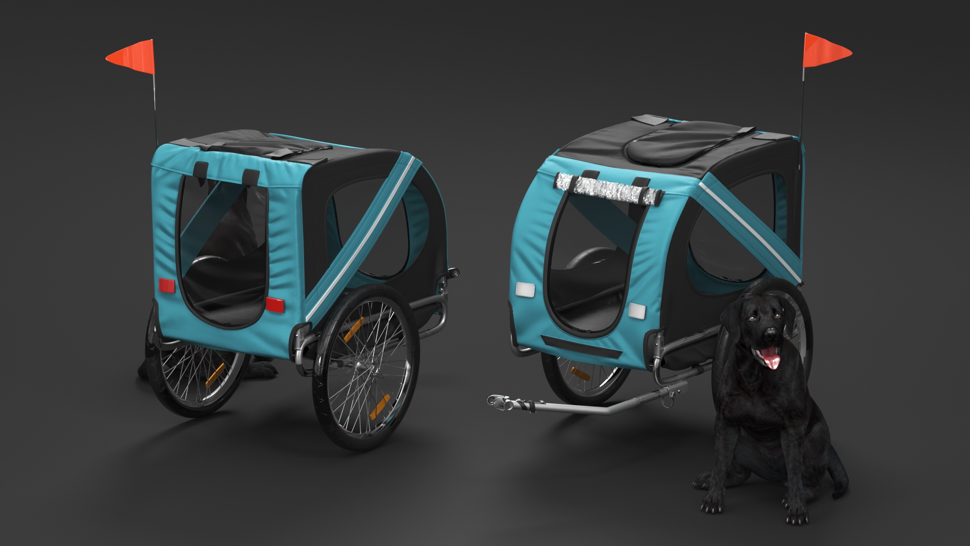 Dog Bicycle Trailer 3D model