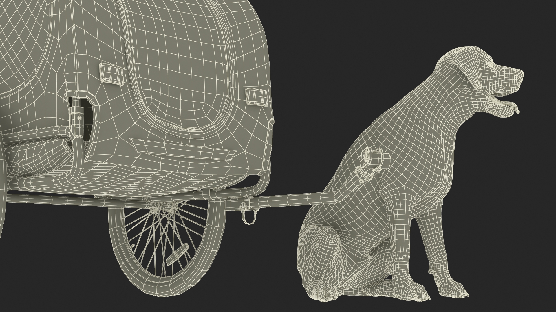 Dog Bicycle Trailer 3D model