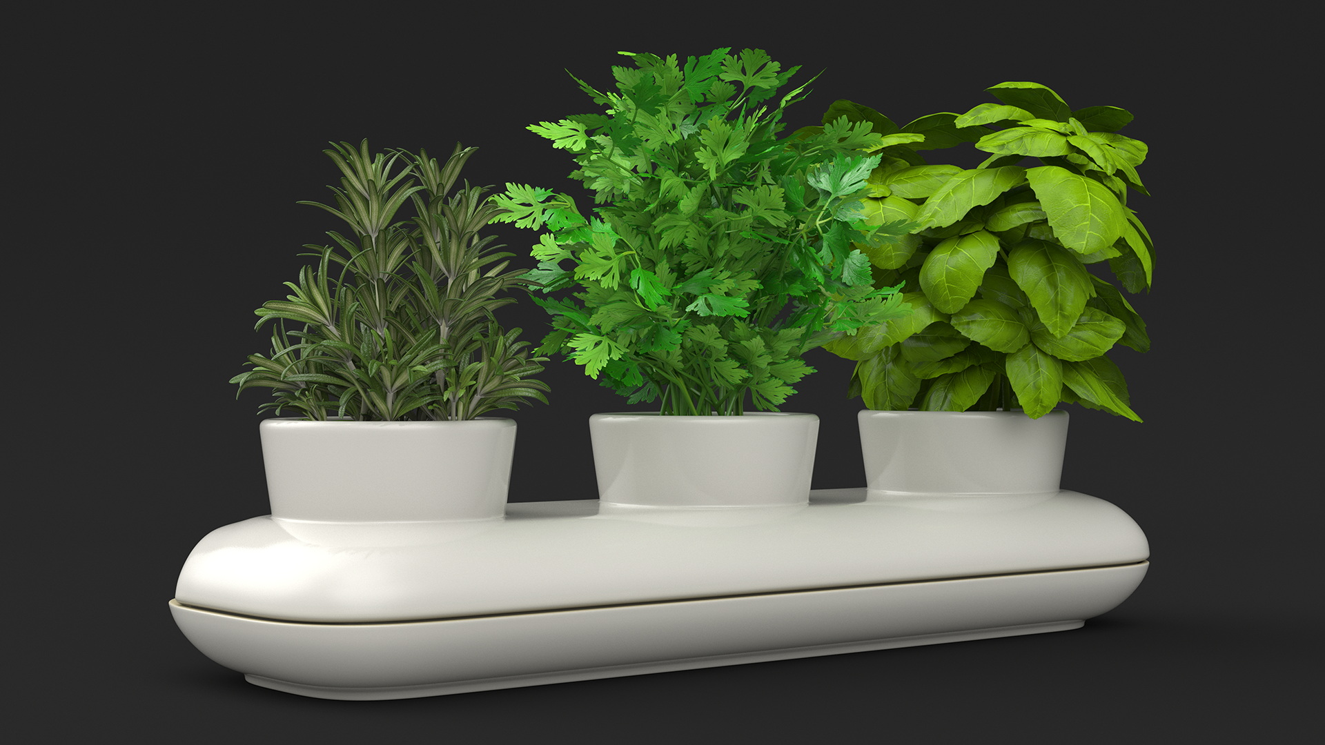 Trio Pot with Herbs Sagaform White 3D model