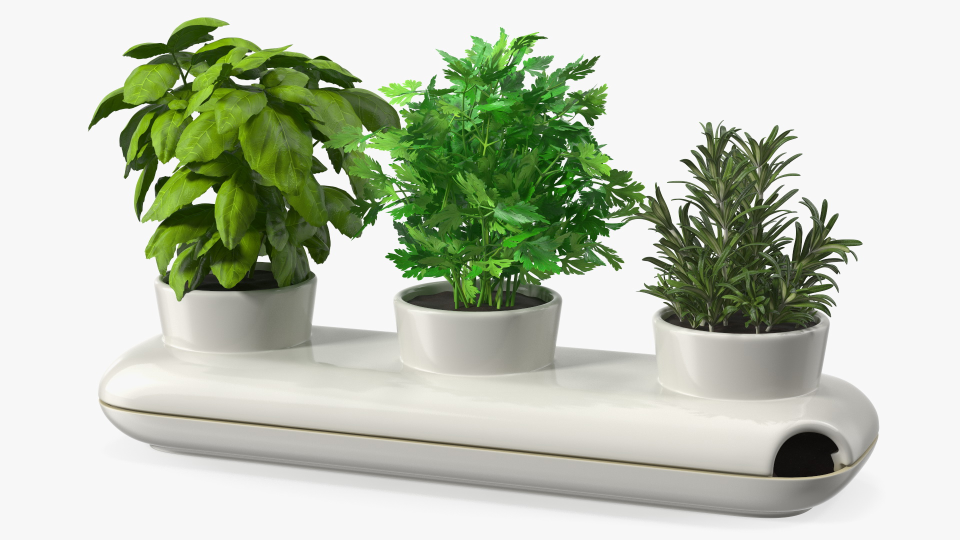 Trio Pot with Herbs Sagaform White 3D model