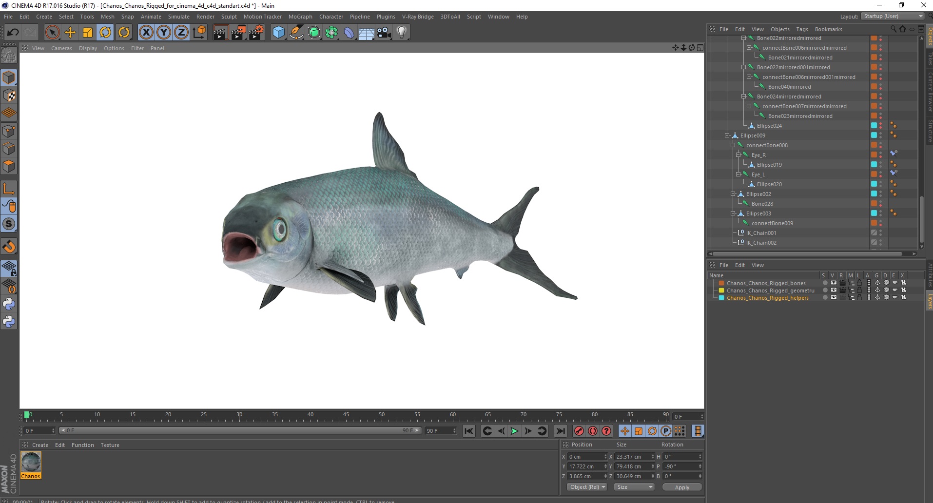 Chanos Chanos Rigged for Cinema 4D 3D model