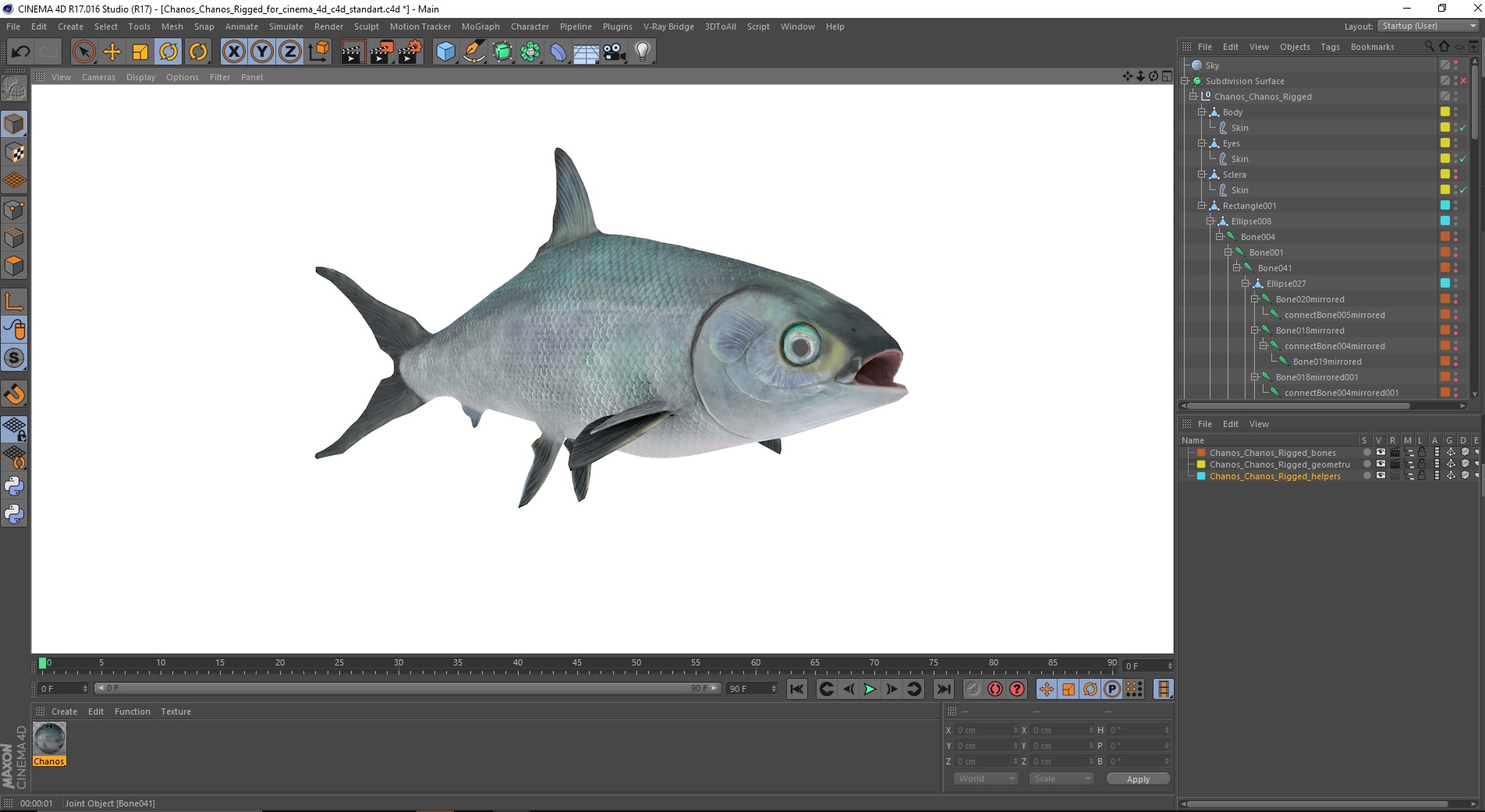 Chanos Chanos Rigged for Cinema 4D 3D model
