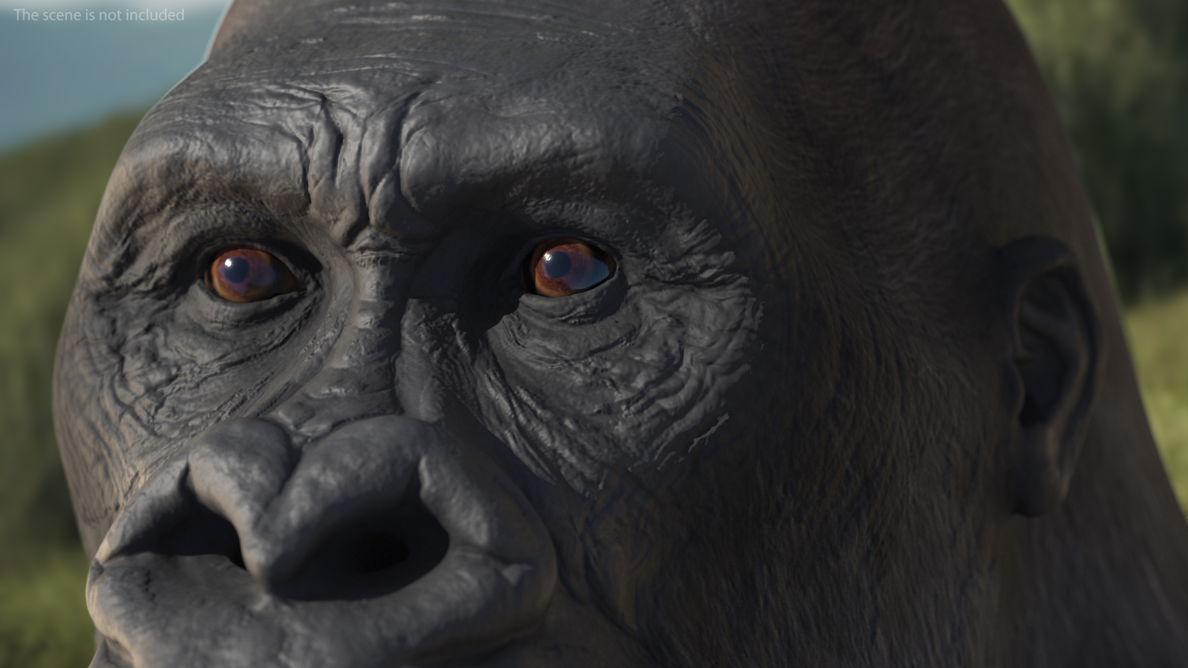 3D Gorilla Basic Pose model