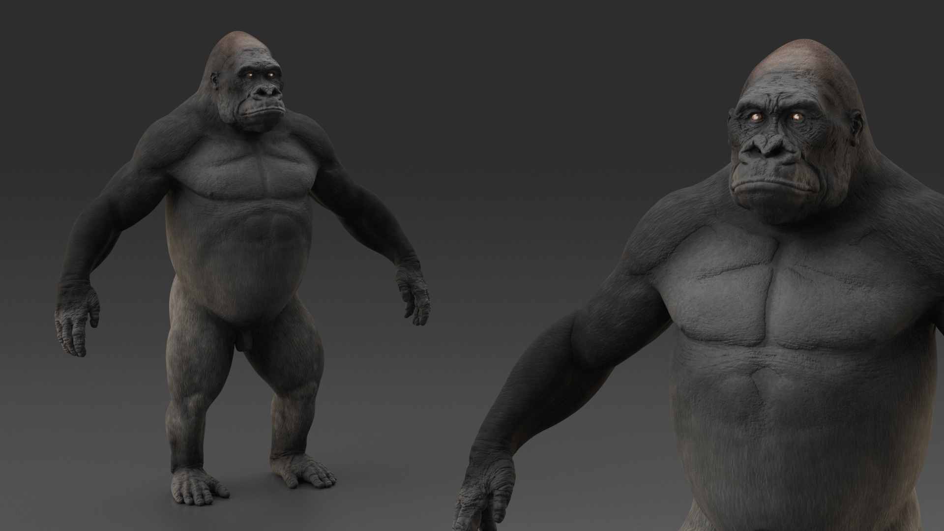 3D Gorilla Basic Pose model