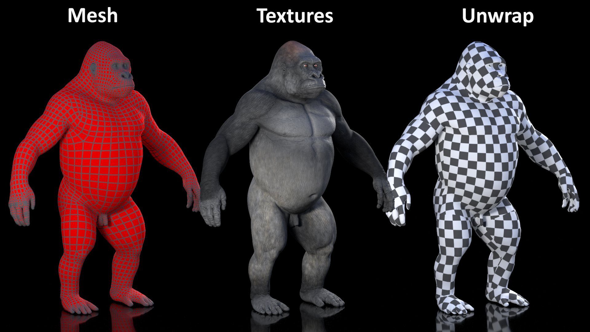 3D Gorilla Basic Pose model