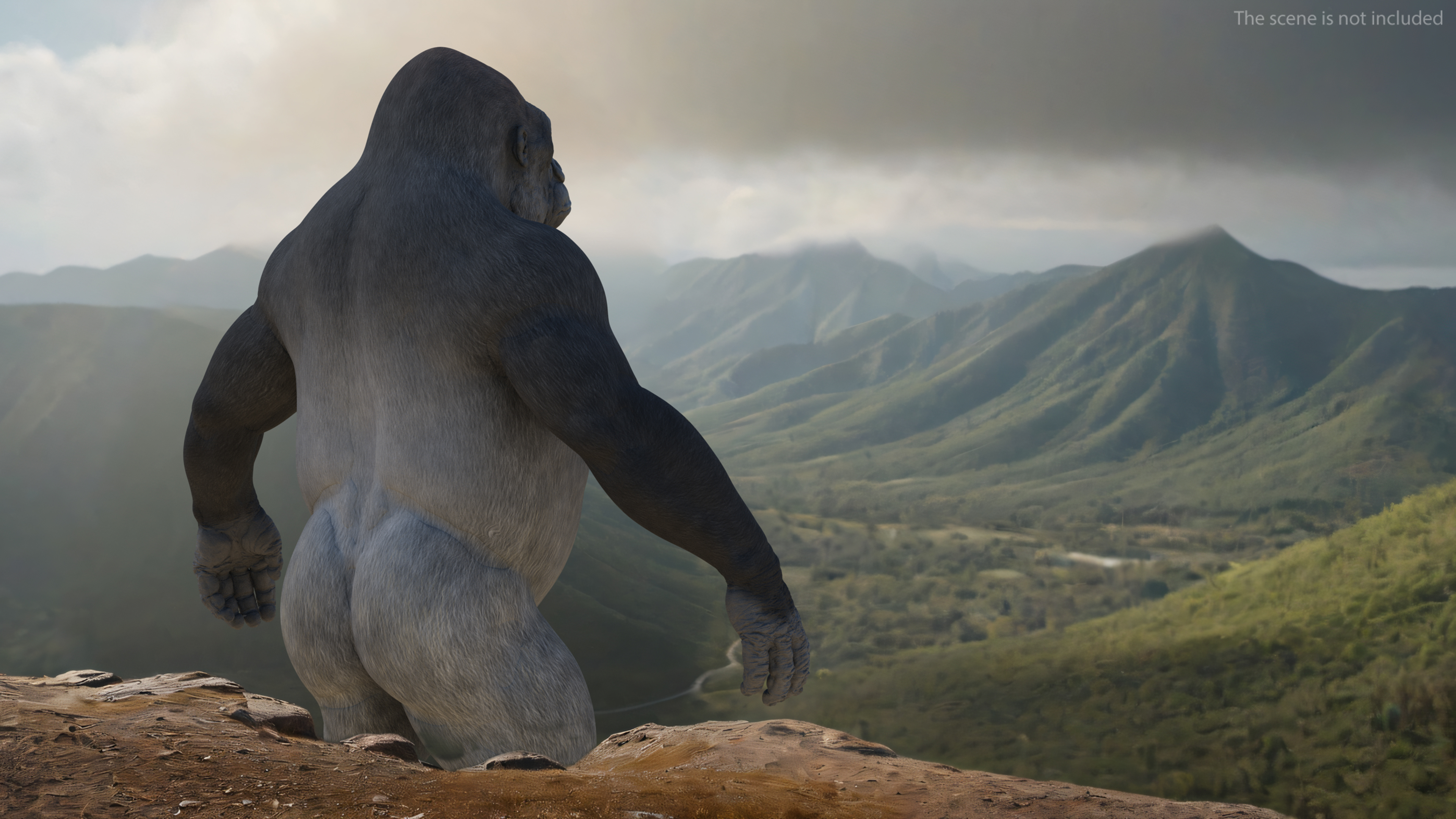 3D Gorilla Basic Pose model