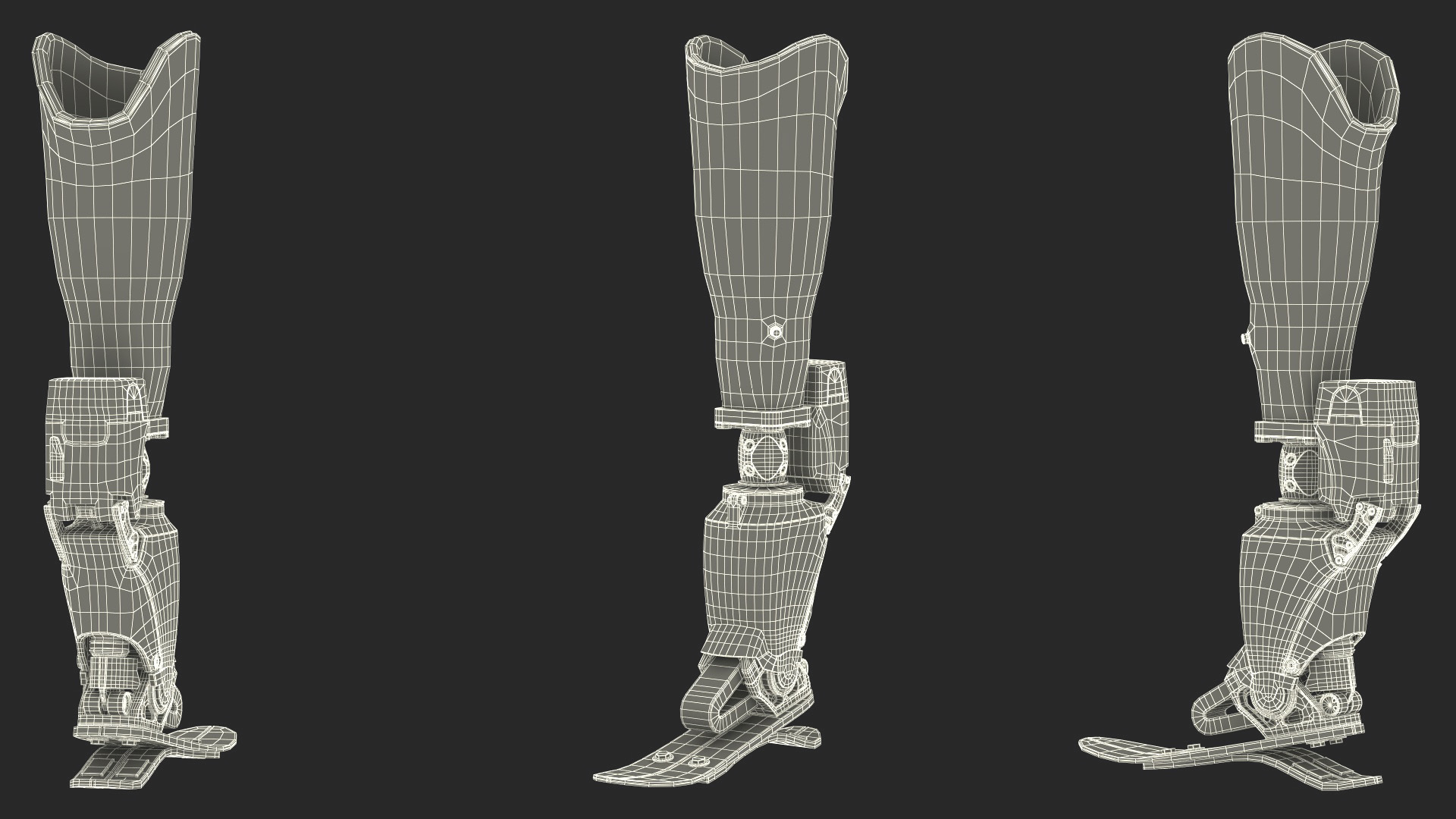 Modern Prosthetic Foot 3D