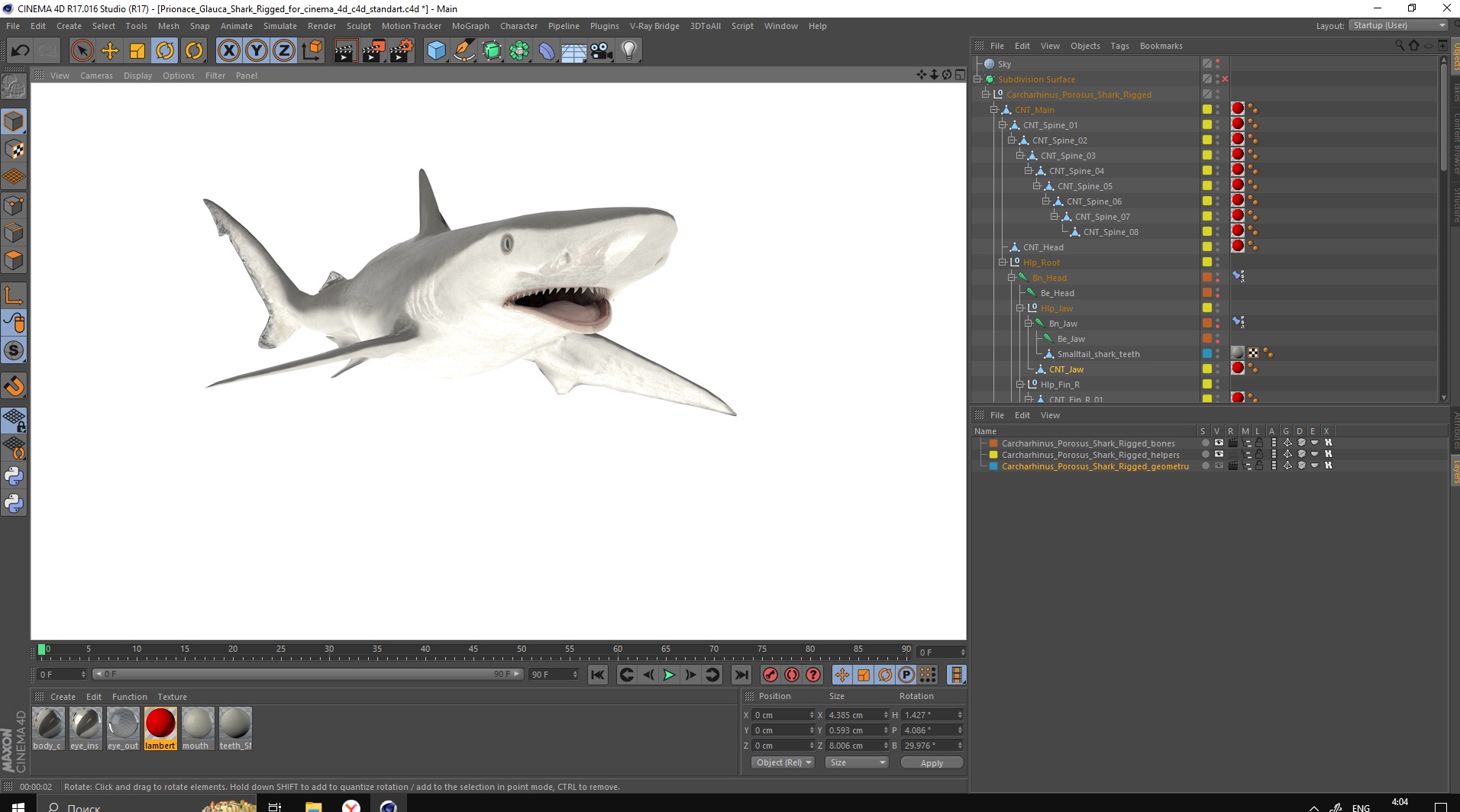 Carcharhinus Porosus Shark Rigged for Cinema 4D 3D