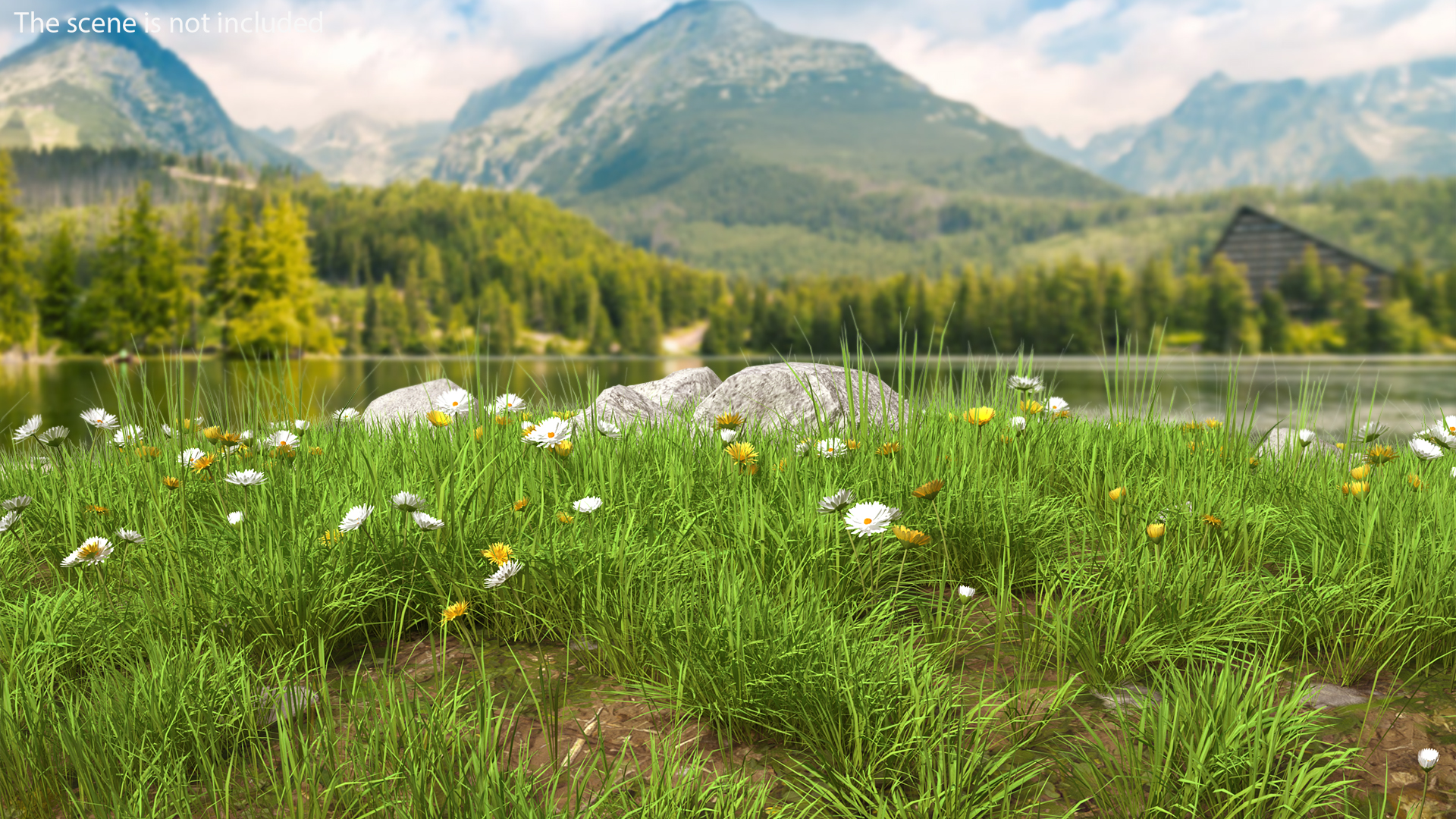 3D Meadow with Blooming Flowers model