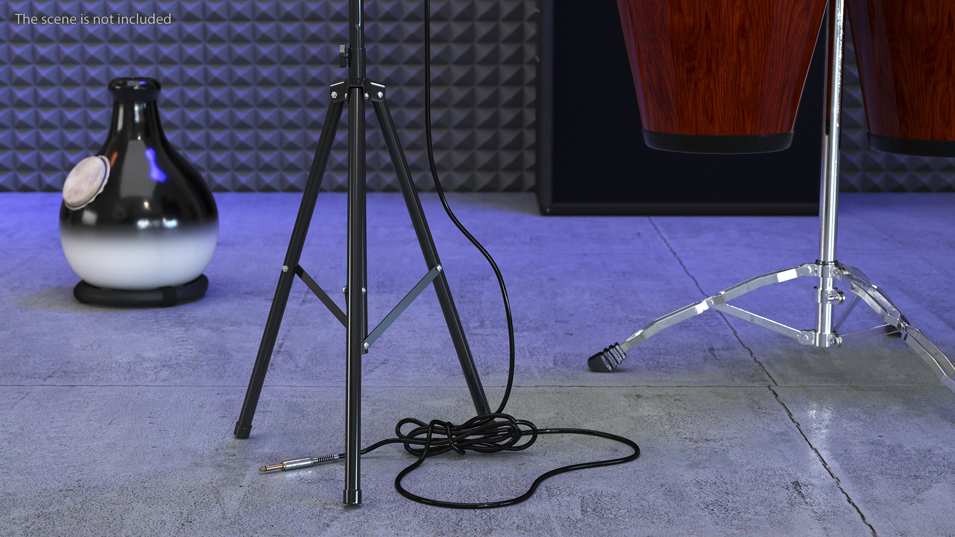 Studio Condenser Microphone on Stand with Cable 3D