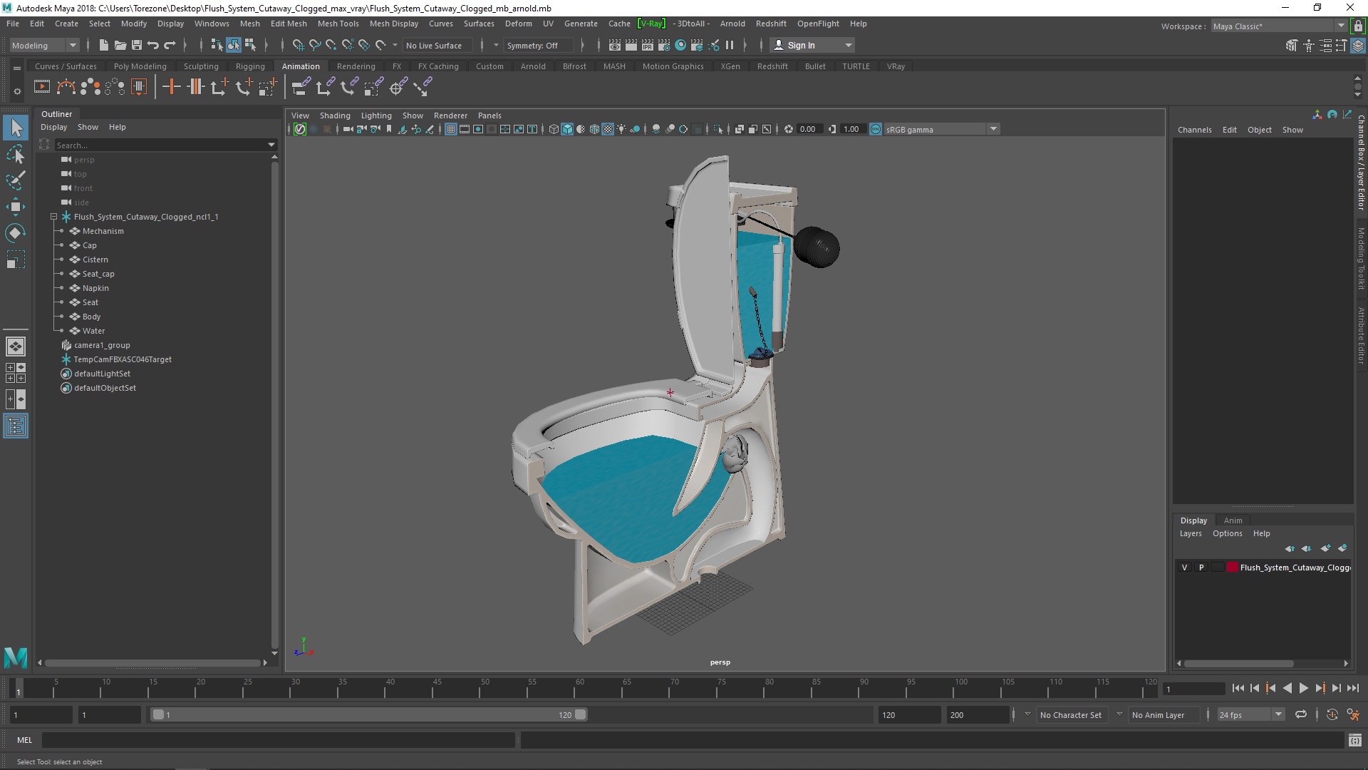 3D Flush System Cutaway Clogged model