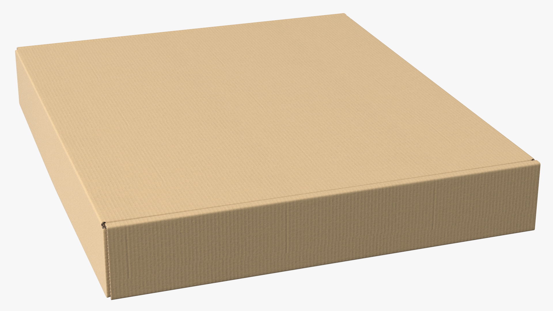 3D model Cardboard Closed Flat Box