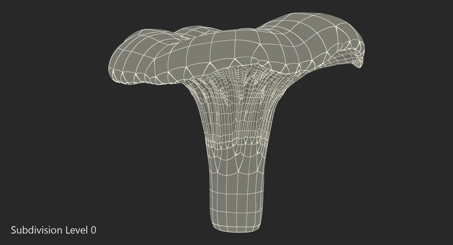 3D model Chanterelle Mushroom