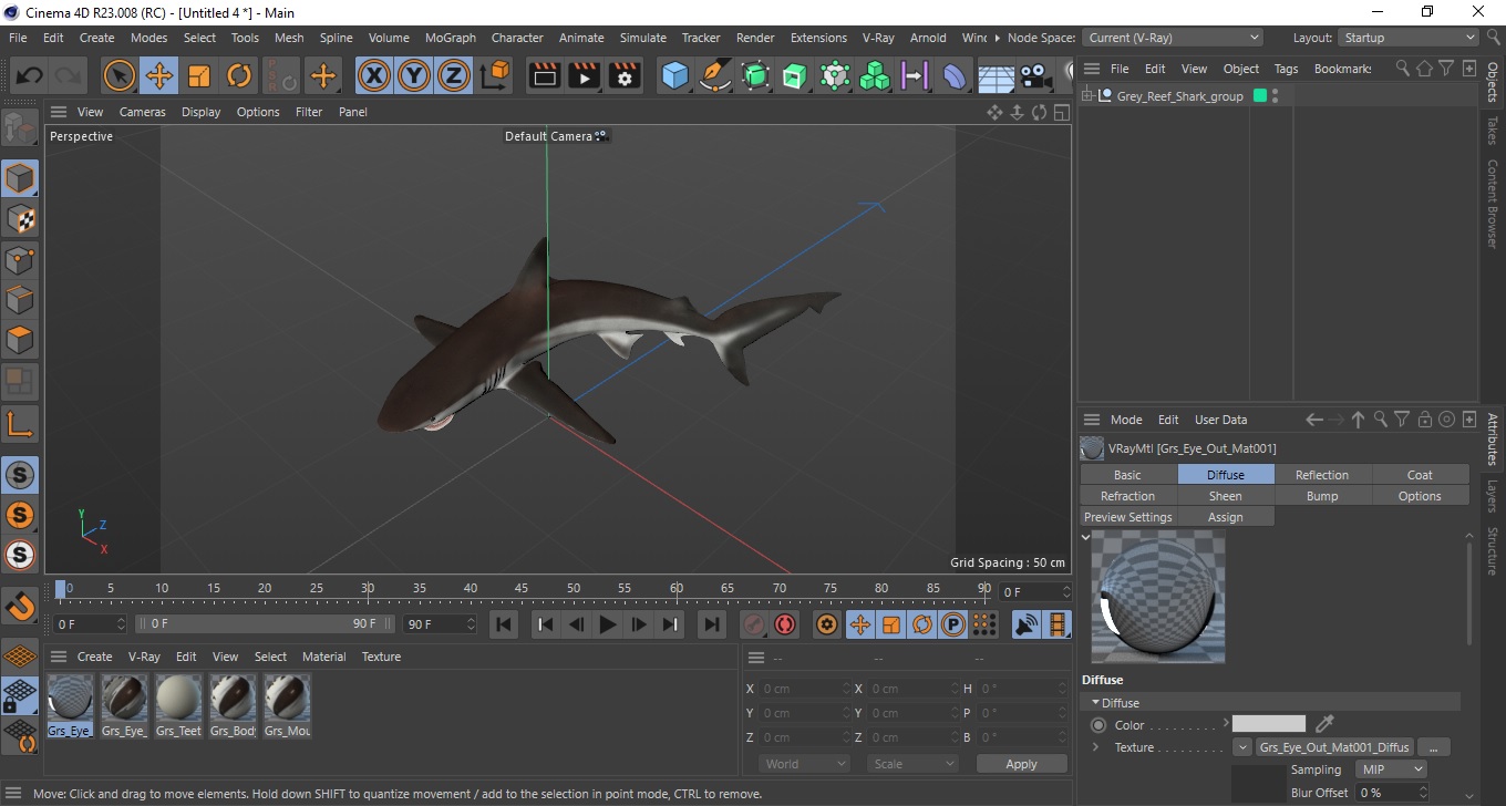 3D model Grey Reef Shark