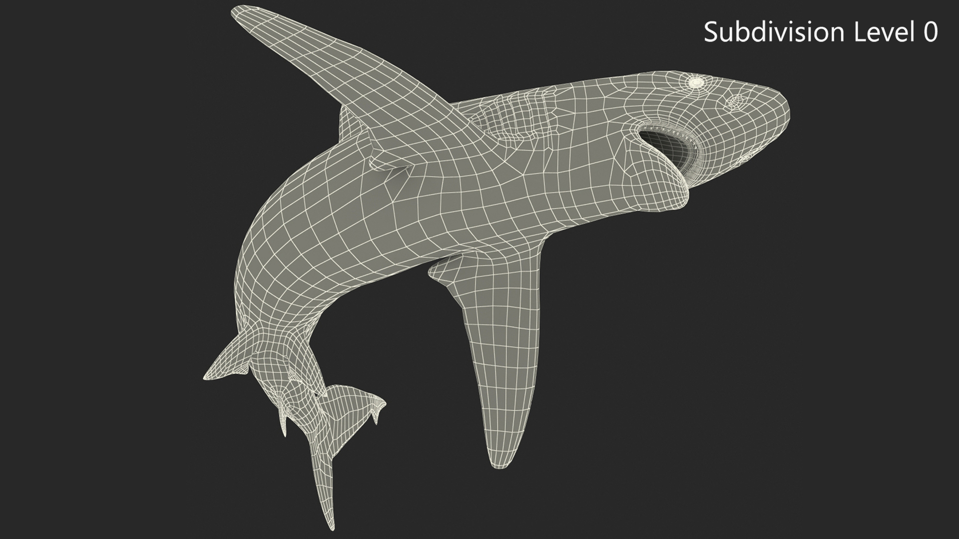 3D model Grey Reef Shark