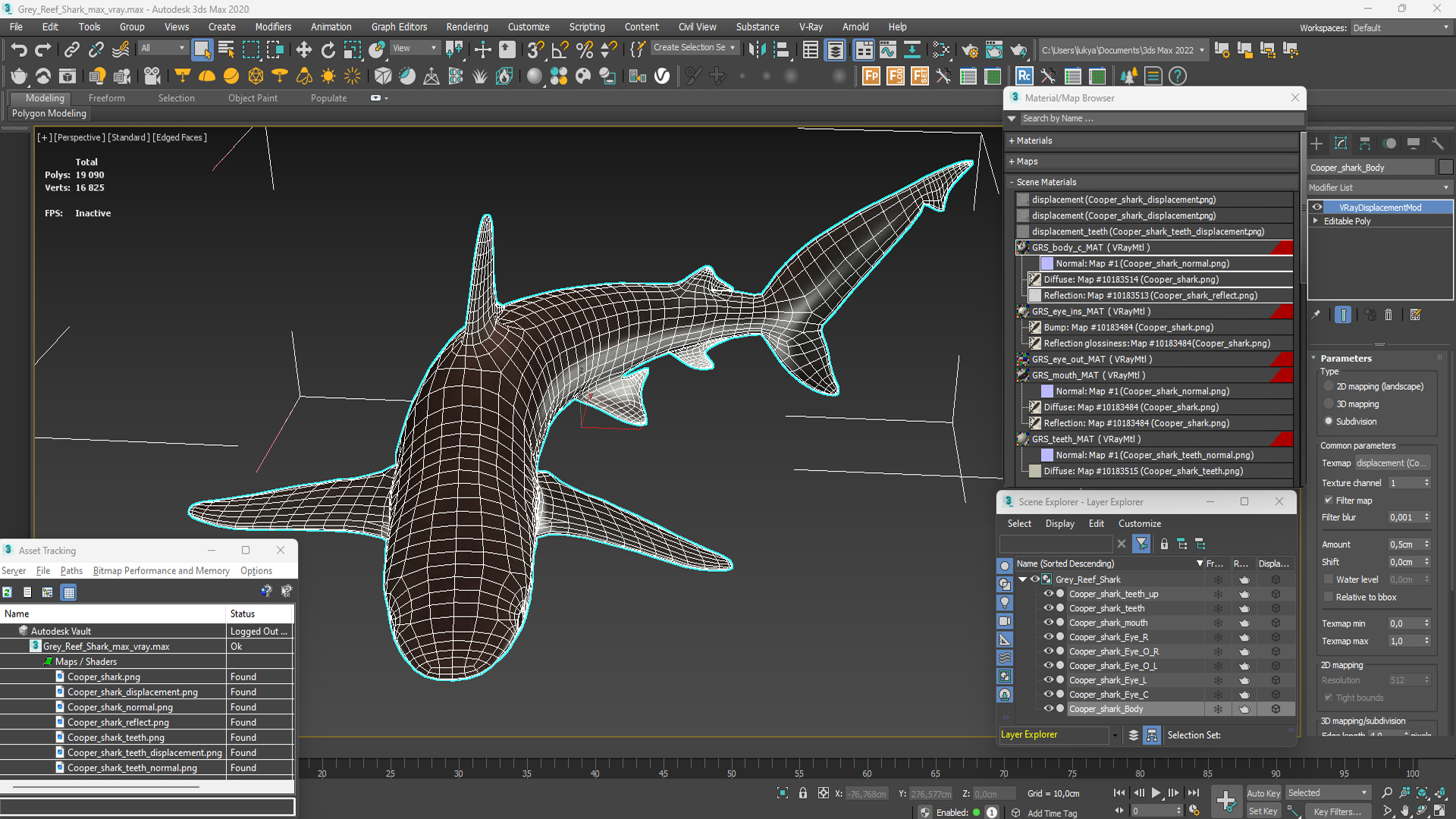 3D model Grey Reef Shark