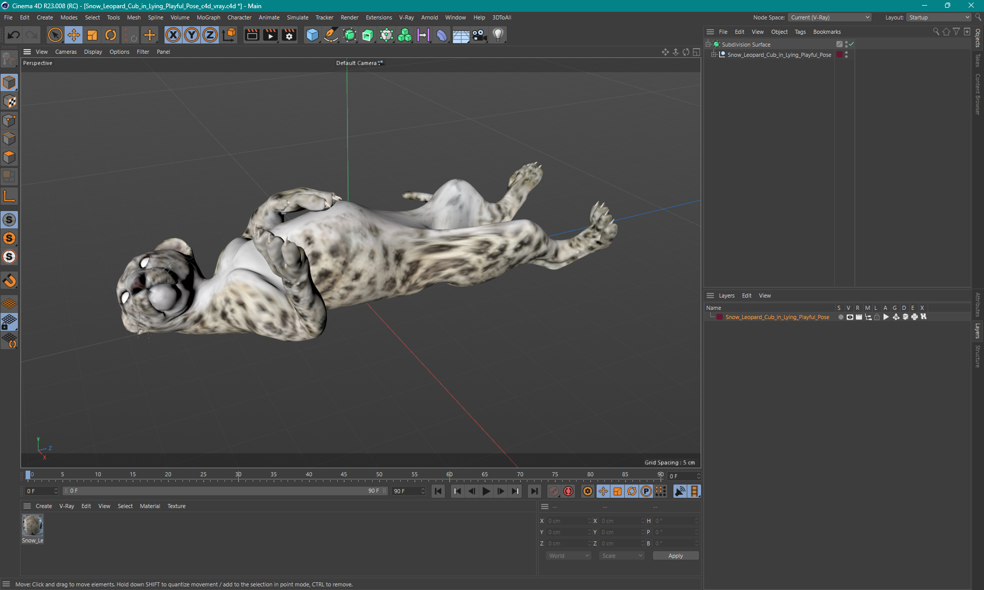 3D Snow Leopard Cub in Lying Playful Pose model