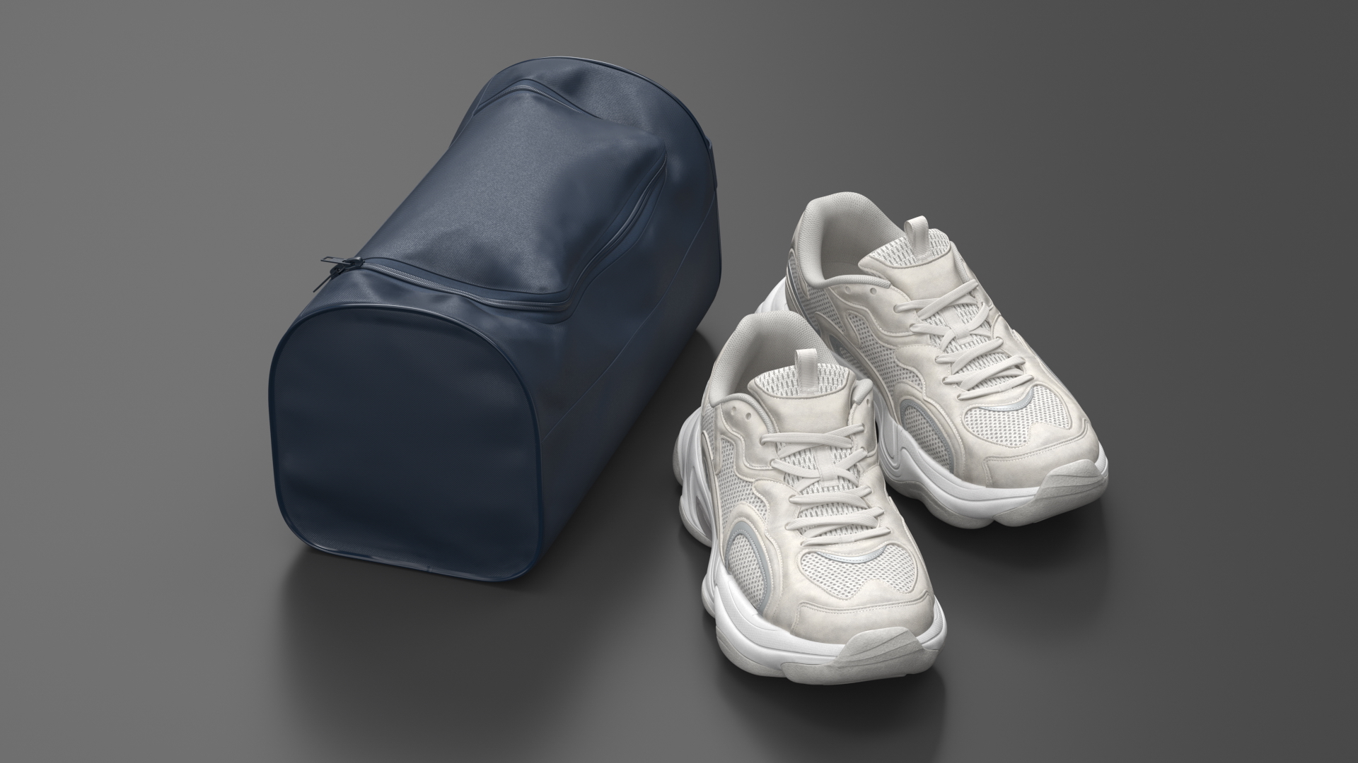 Fitness Shoe Bag and Fashion Sneakers 3D