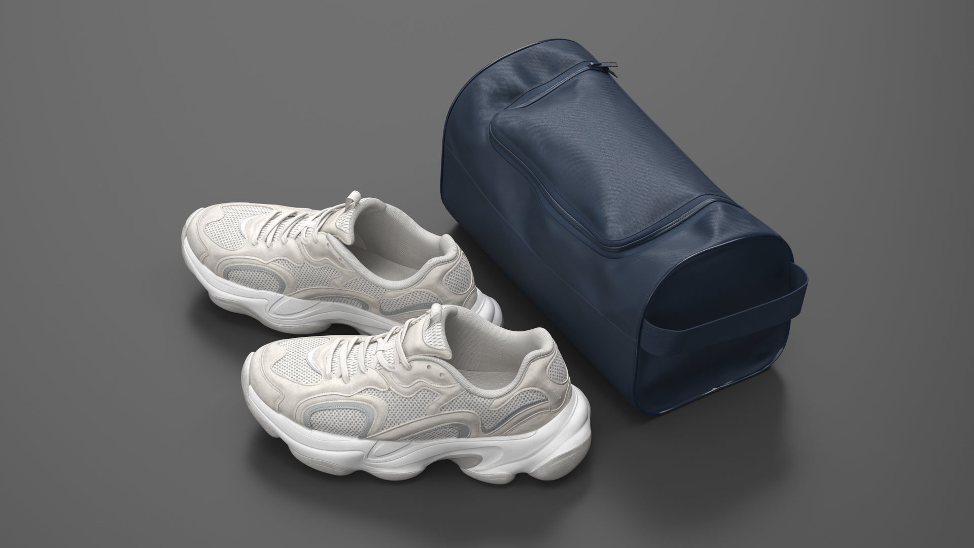 Fitness Shoe Bag and Fashion Sneakers 3D