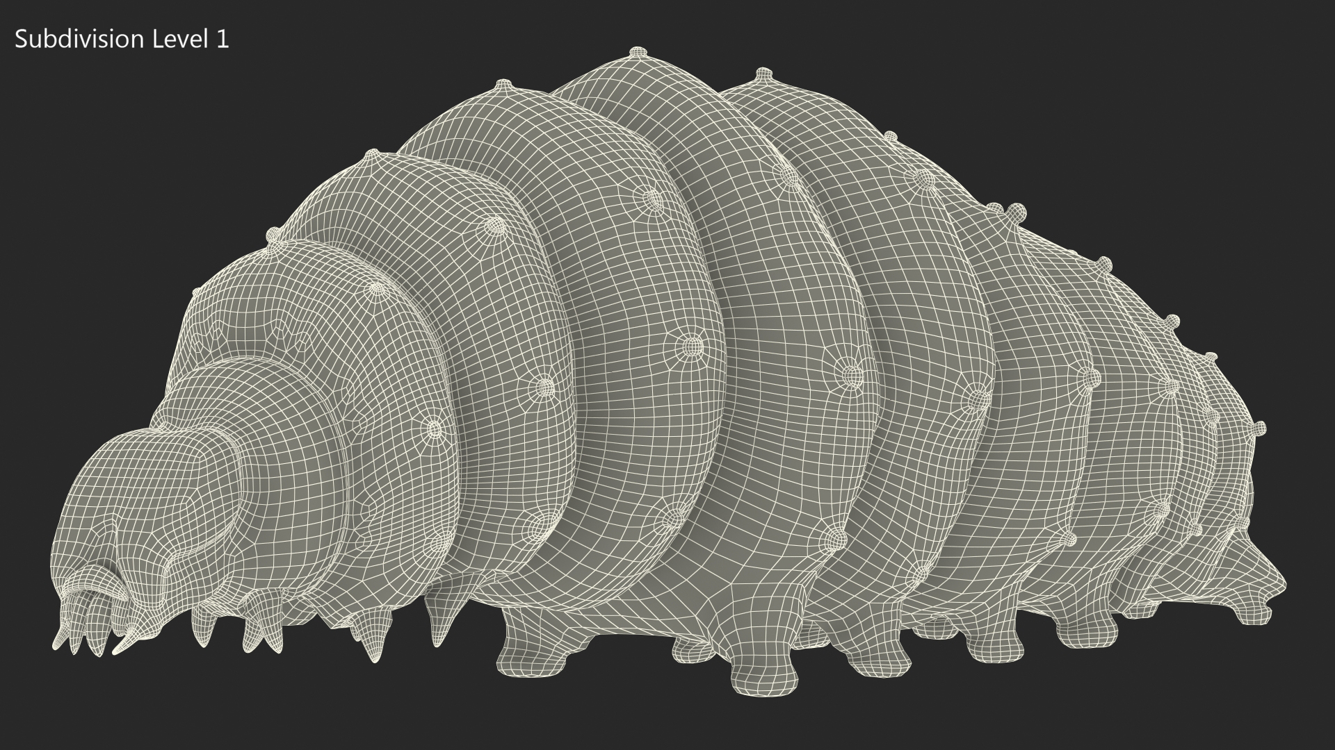 3D model Silkworm Green Rigged for Cinema 4D