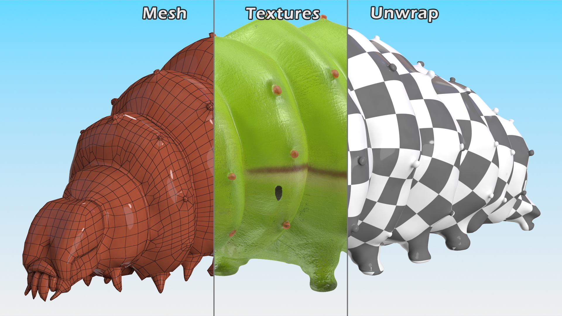 3D model Silkworm Green Rigged for Modo