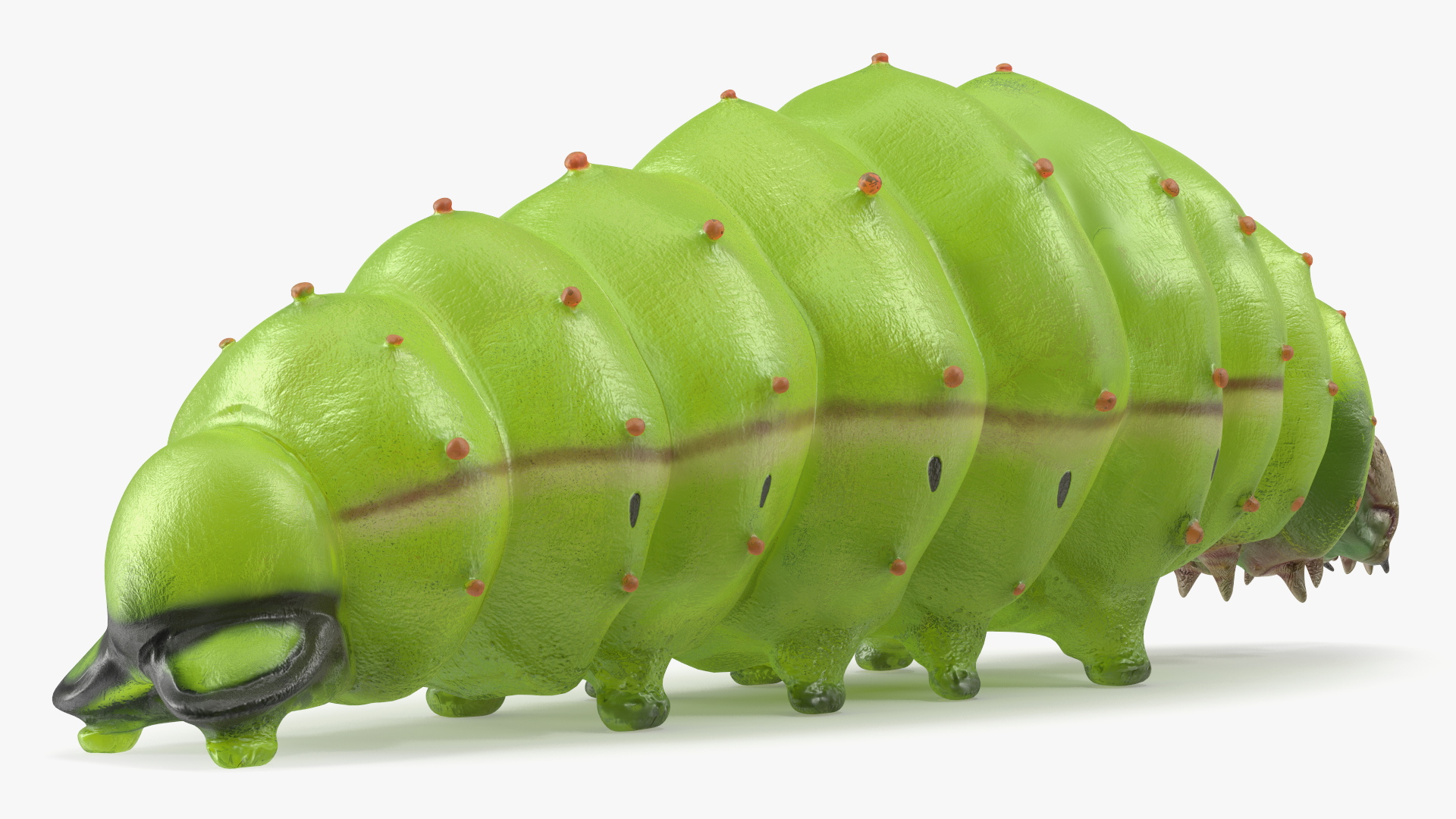 3D model Silkworm Green Rigged for Modo