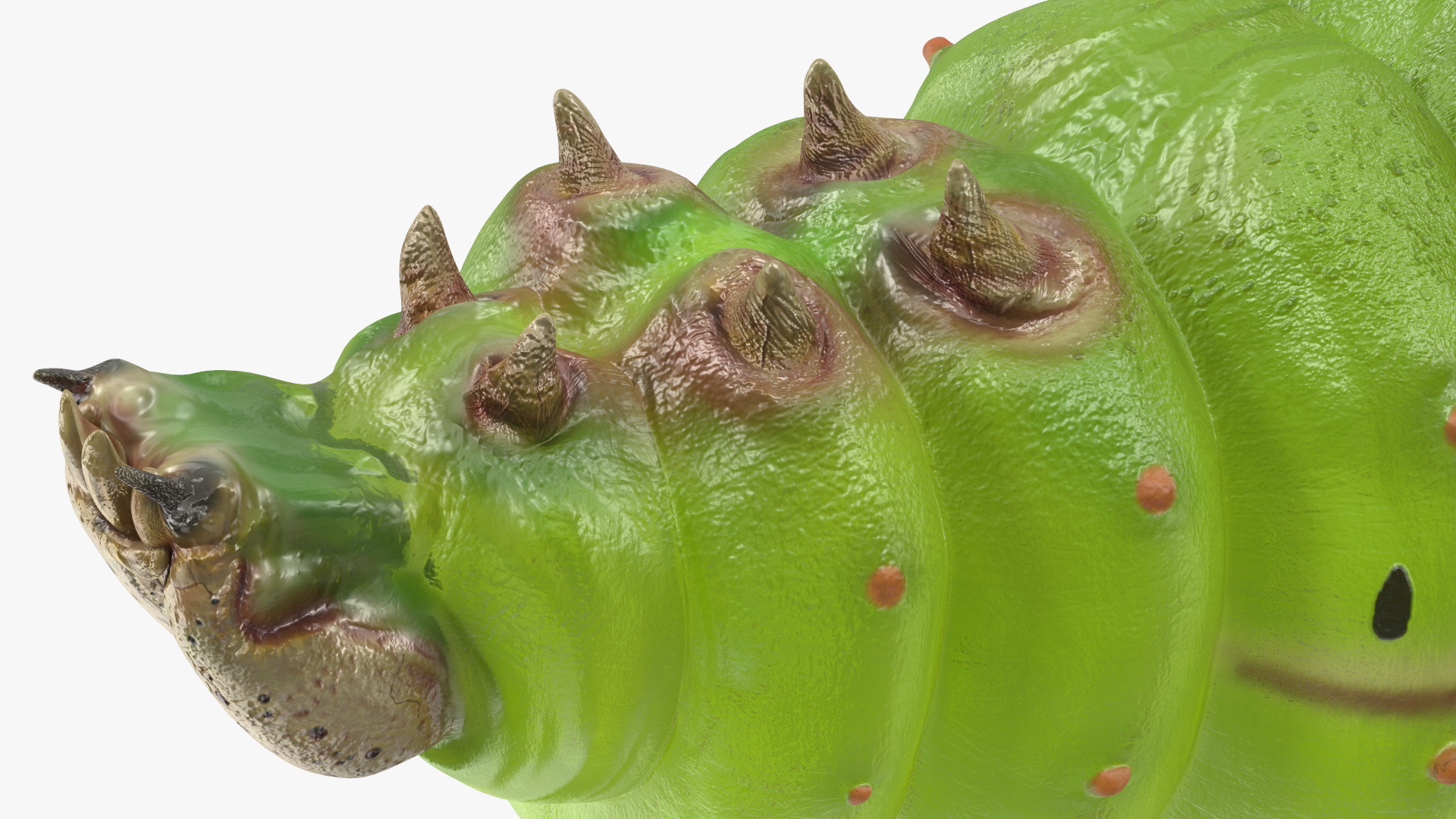 3D model Silkworm Green Rigged for Modo