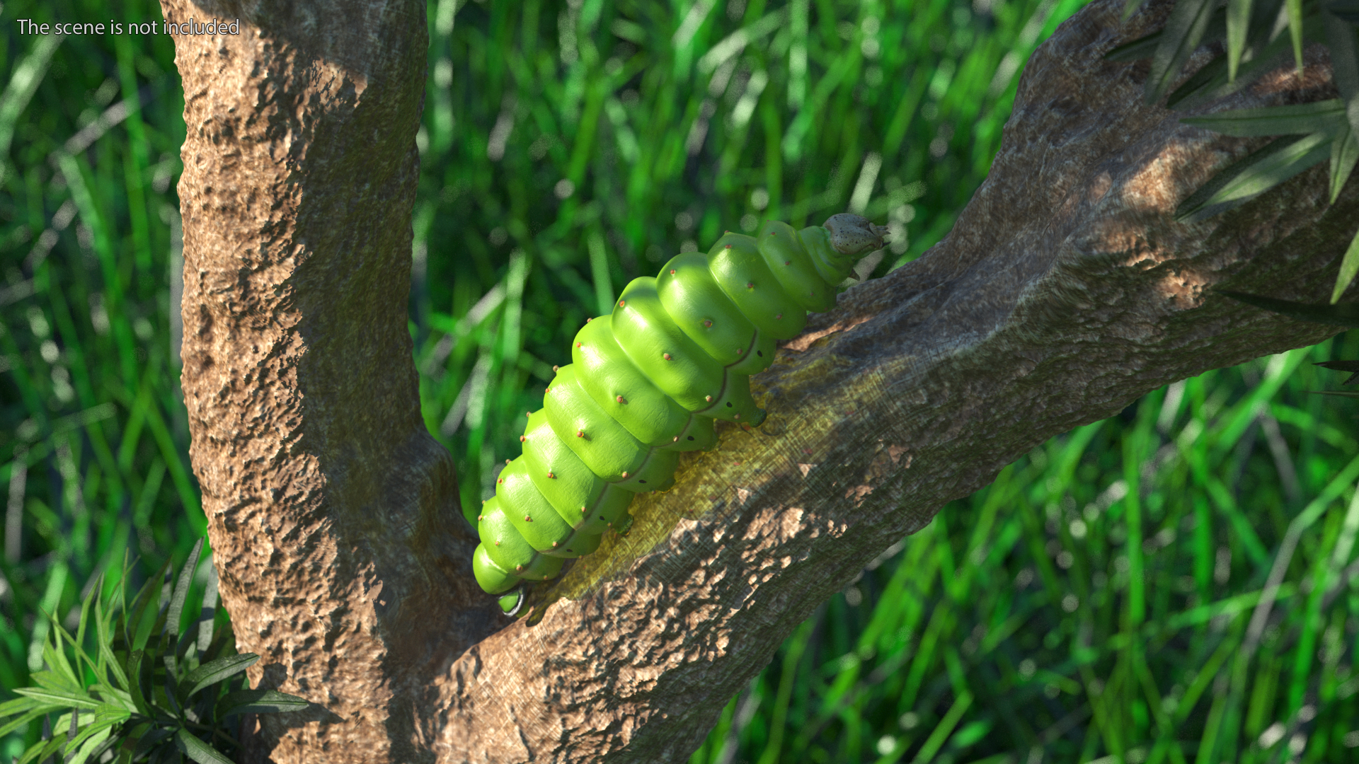 3D model Silkworm Green Rigged for Cinema 4D