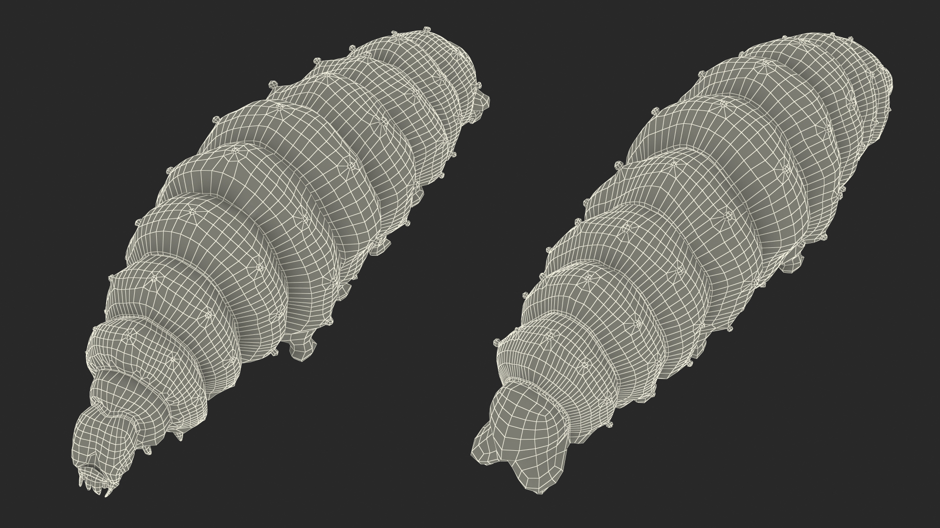 3D model Silkworm Green Rigged for Cinema 4D