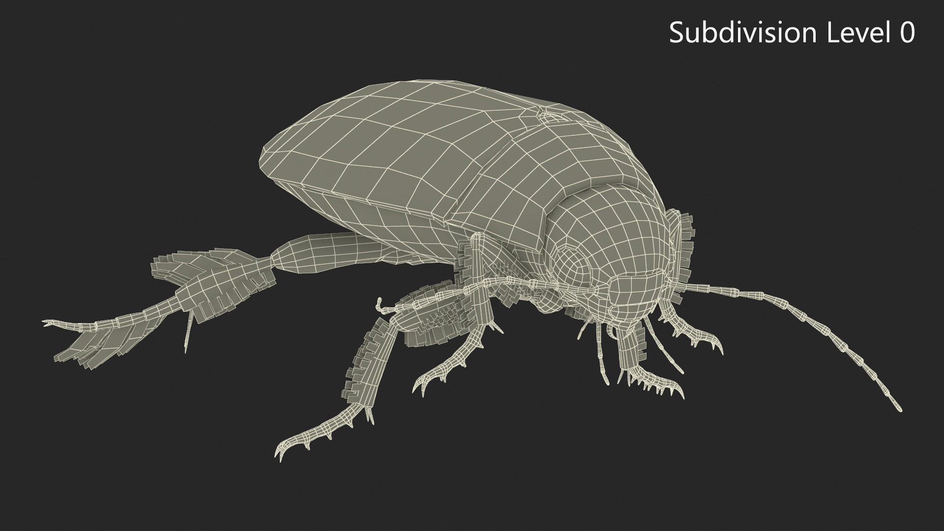 Aquatic Beetle Brown Floating 3D model