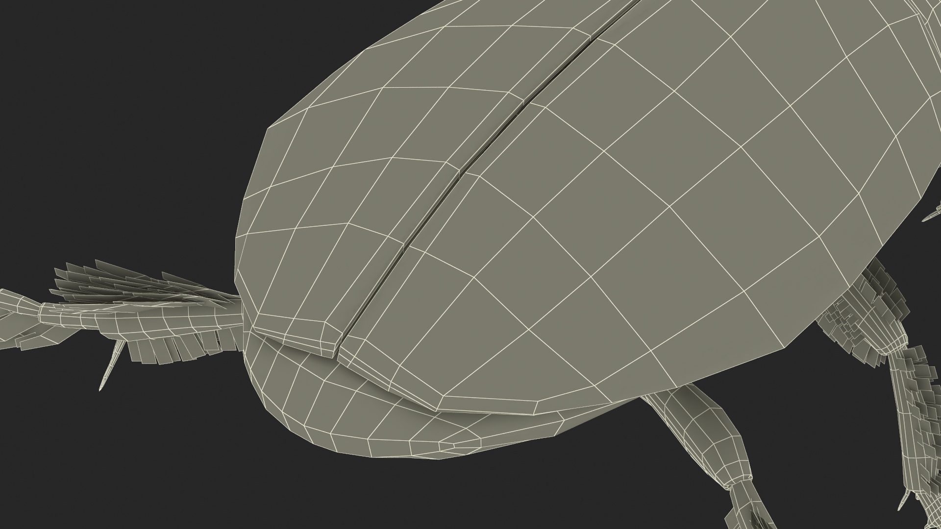 Aquatic Beetle Brown Floating 3D model