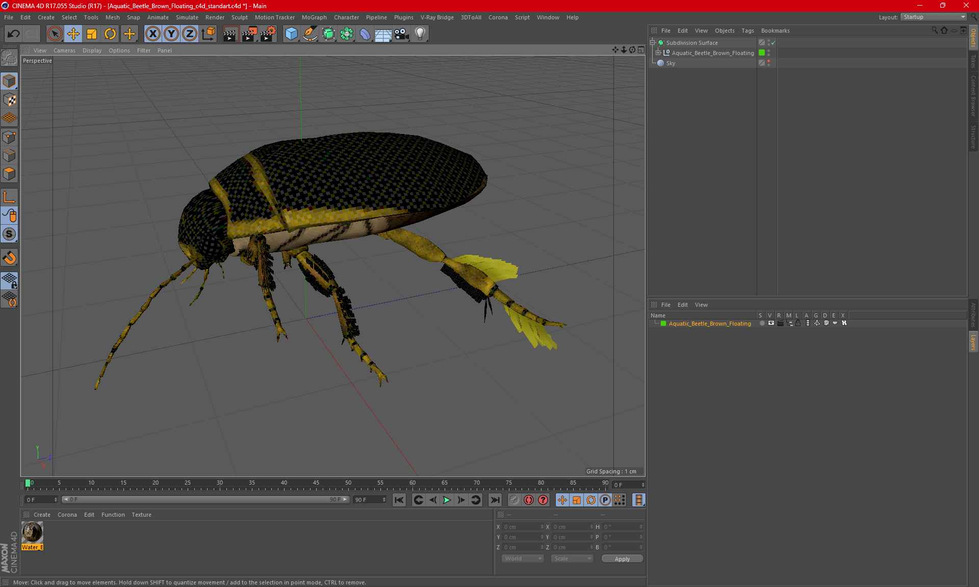 Aquatic Beetle Brown Floating 3D model