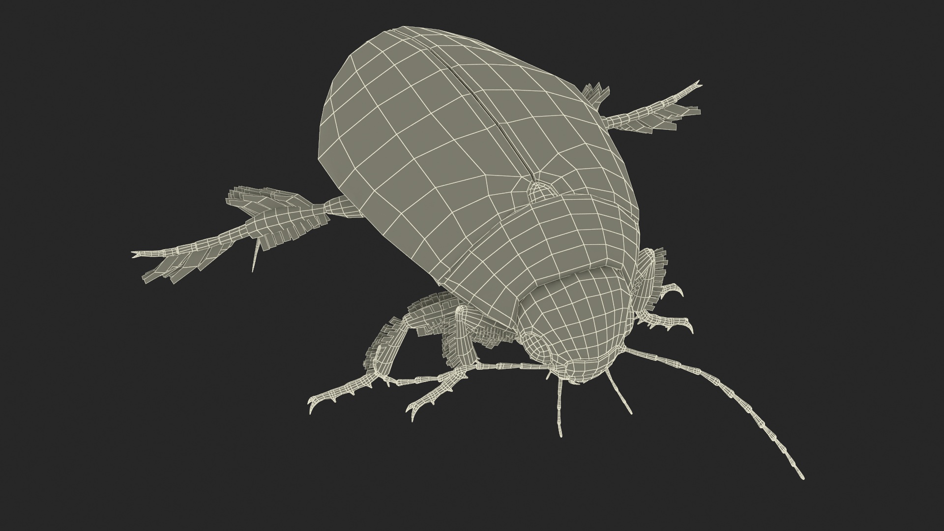 Aquatic Beetle Brown Floating 3D model